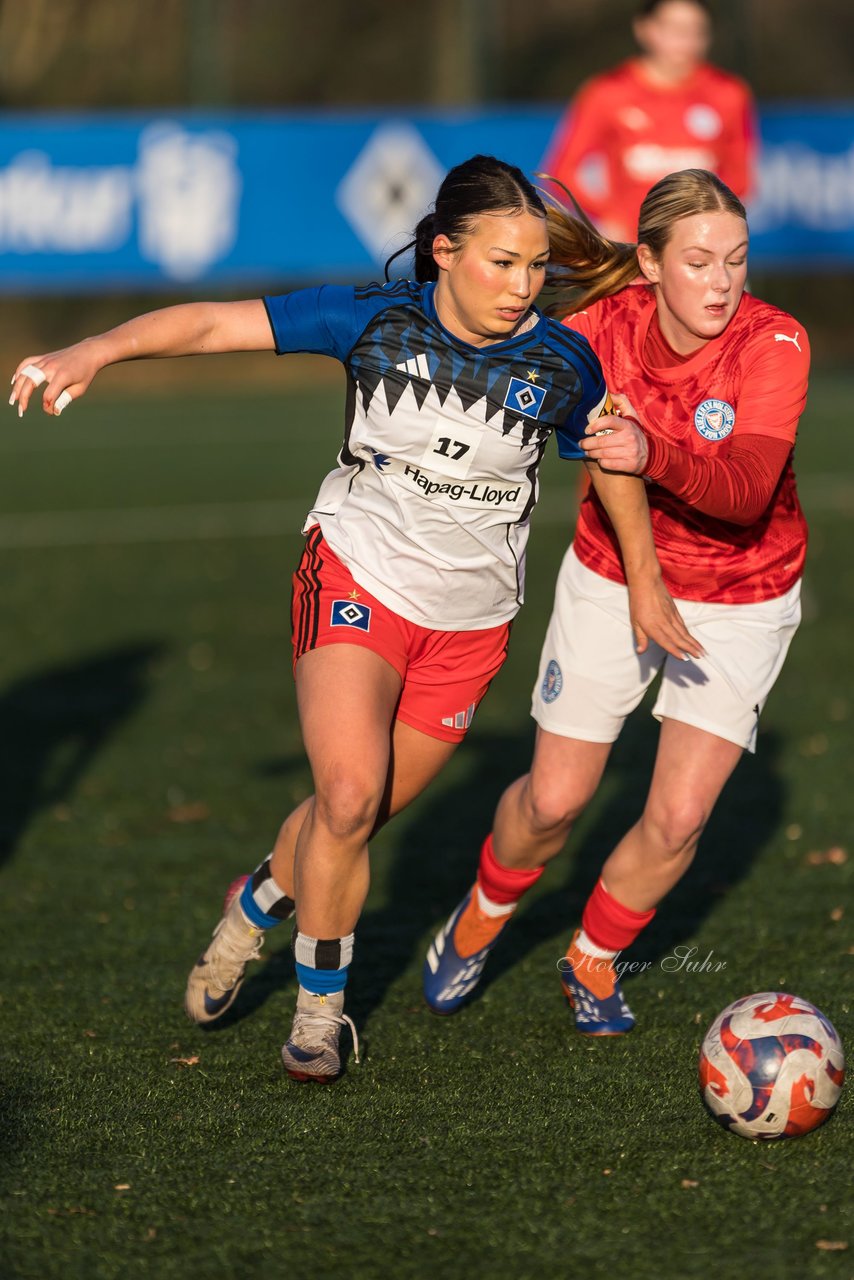 Bild 241 - wBJ Hamburger SV - Holstein Kiel : Ergebnis: 8:0